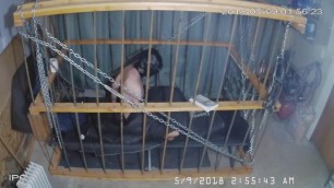 The Cage Cam may 9 2018 004` another Auto Recorded Clip of this Bois new r