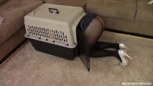 STUCK - Maid in cat crate