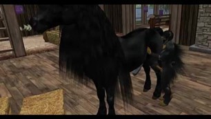 ANTHRO DOBERMAN WENT HAVE MATING