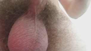 Hairy 7 inch cock and balls